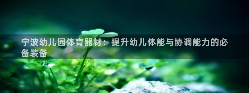 耀世平台注册：宁波幼儿园体育器材：提升幼儿体能与协调