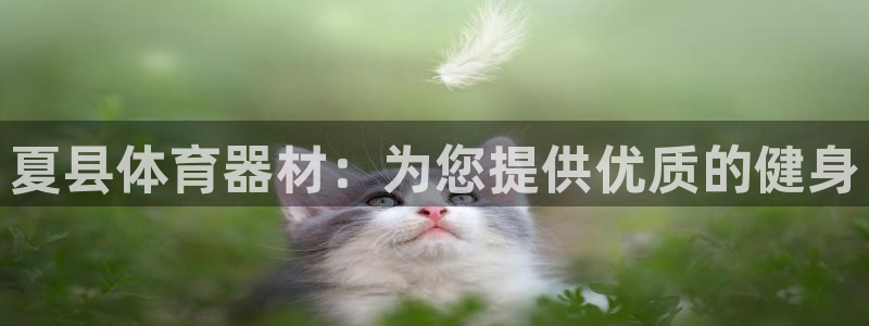 耀世娱乐代理什么待遇：夏县体育器材：为您提供优质的健
