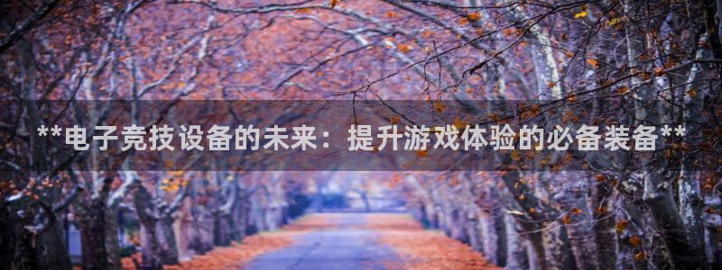 耀世楼盘：**电子竞技设备的未来：提升游戏体验的必备