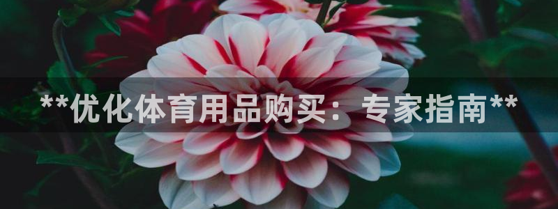 耀世集团董事长抖音是谁：**优化体育用品购买：专家指