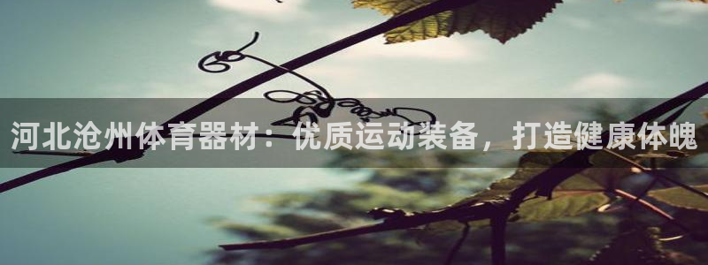 耀世璀璨：河北沧州体育器材：优质运动装备，打造健康体