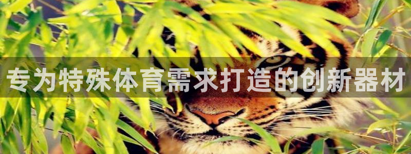 耀世平台注册步骤图：专为特殊体育需求打造的创新器材