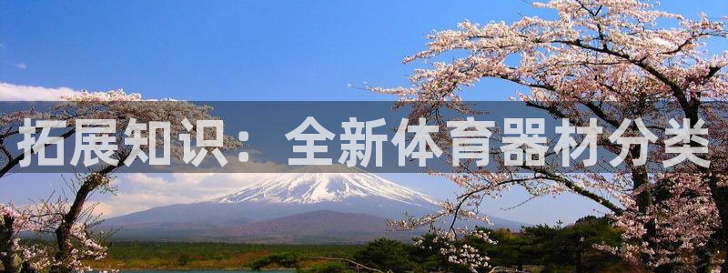 耀世娱乐挂机脚本