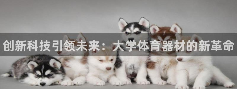 耀世娱乐注册资金多少