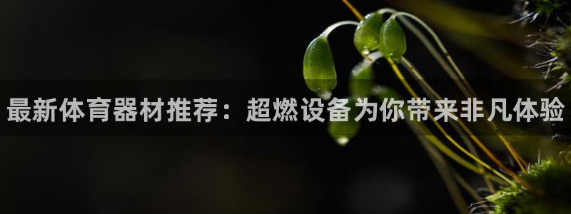 耀世娱乐app下载